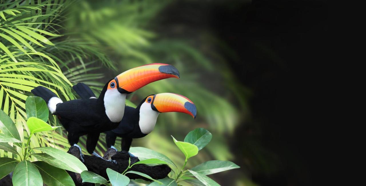 Atiaia Jungle River Retreat Висконди-ди-Мауа Экстерьер фото
